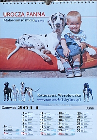 reklama z Kalendarza Polskiego Klubu Doga Niemieckiego 2012